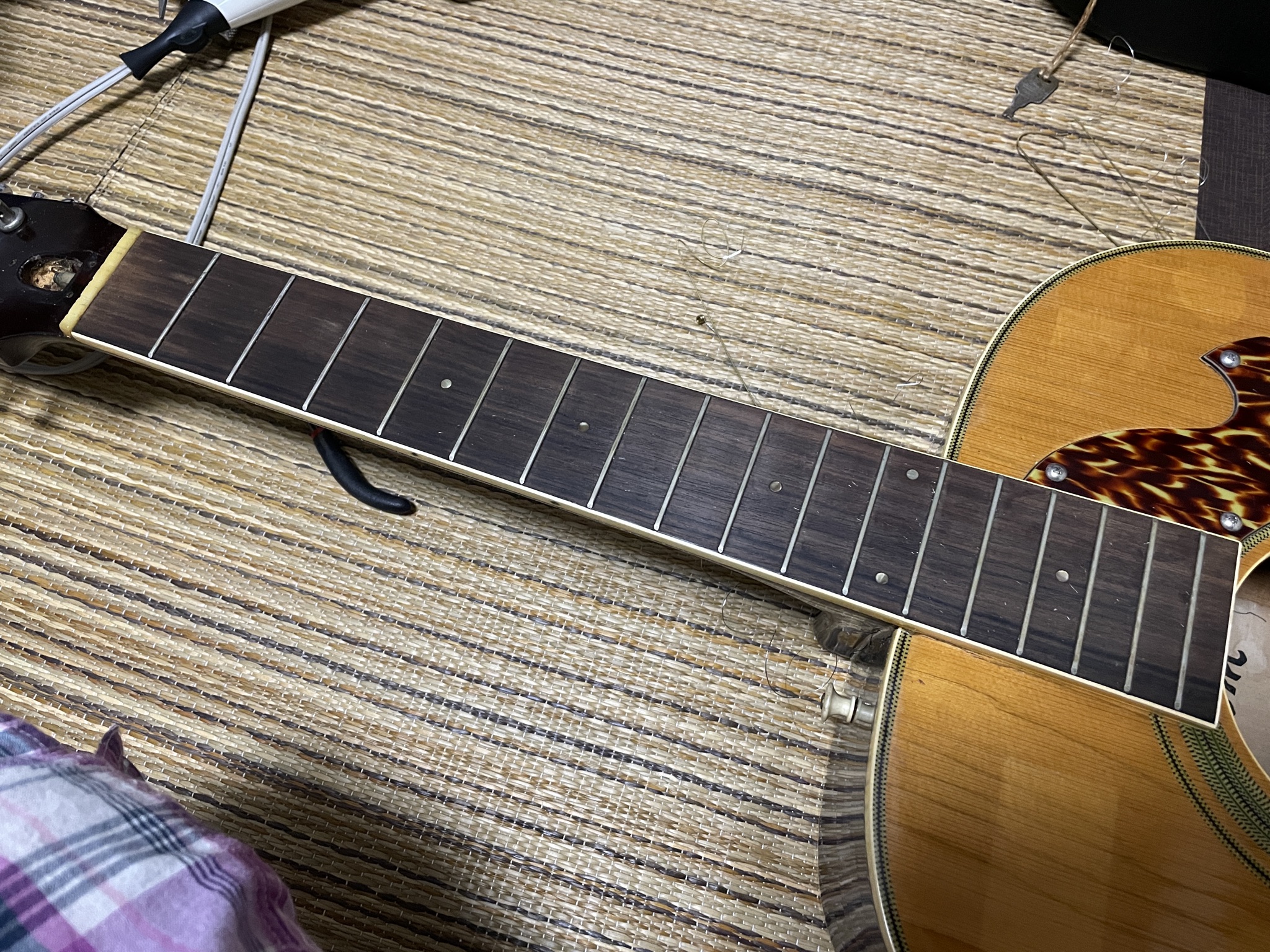 去年ヤフオクで落とした12弦ギター