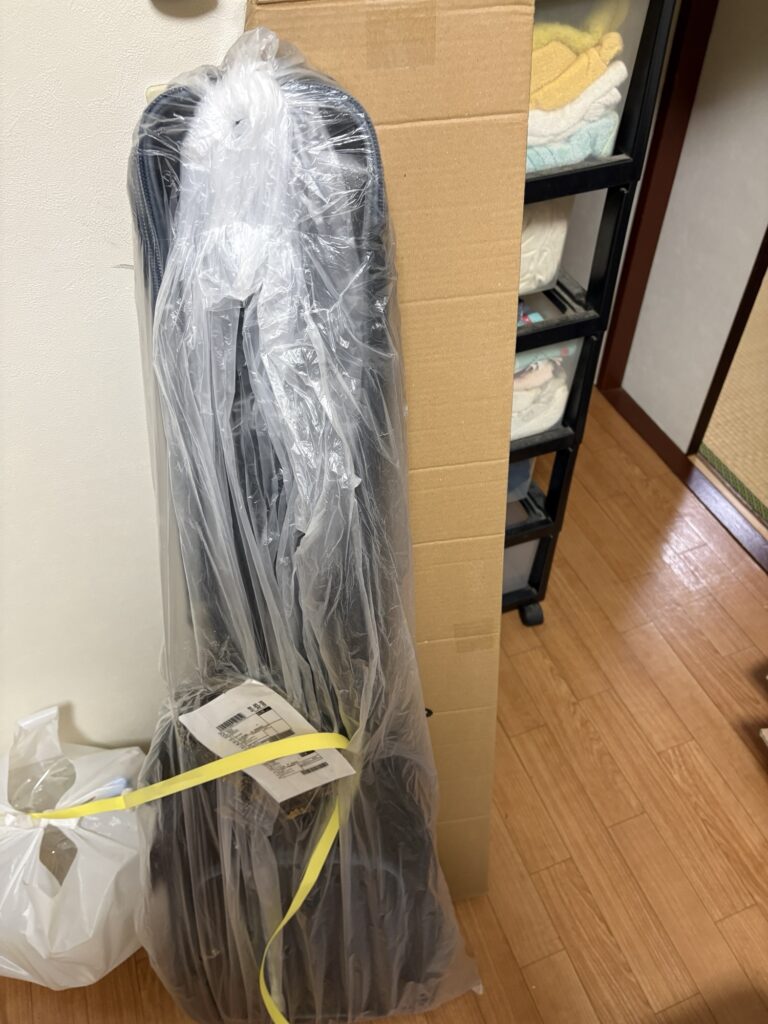 Hofner Club Bass 開封前